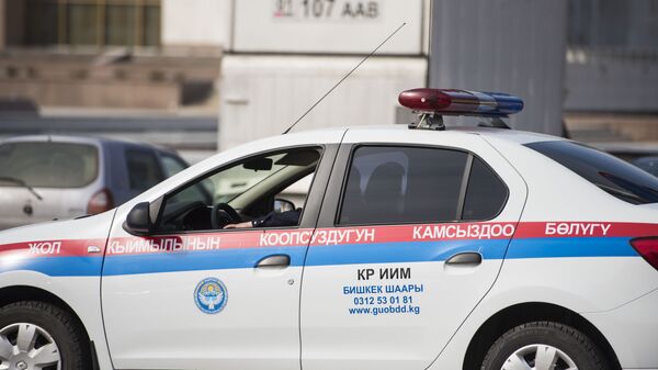 Жолду кесип өткөн жарандар айыпка жыгылат