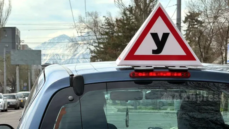 Мамлекеттик автомектептерде окуунун баасы 19 миң сом деп бекитилди